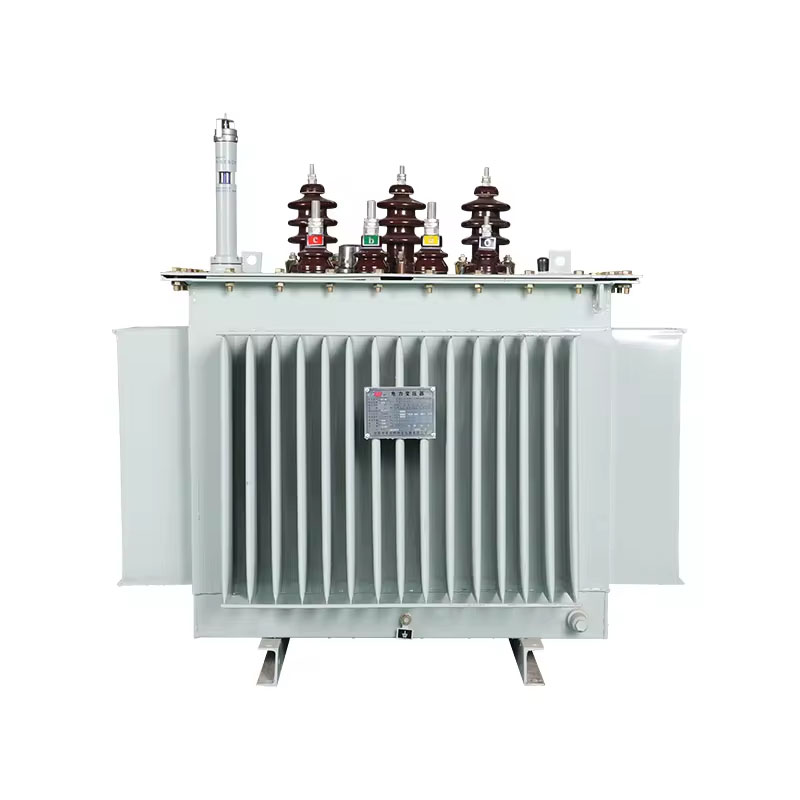 10kV oil immersed transformer